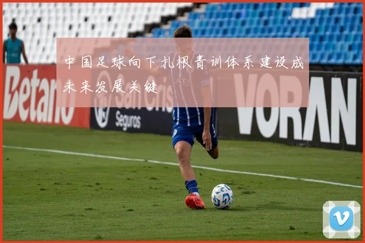 中国足球向下扎根青训体系建设成未来发展关键
