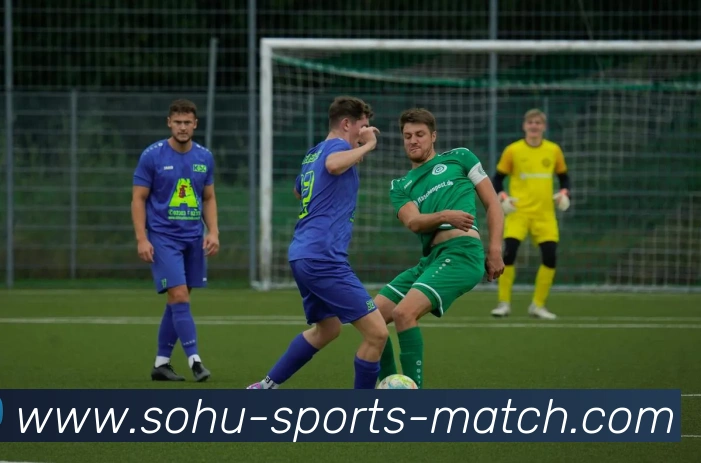 搜狐体育APP 高清赛事图